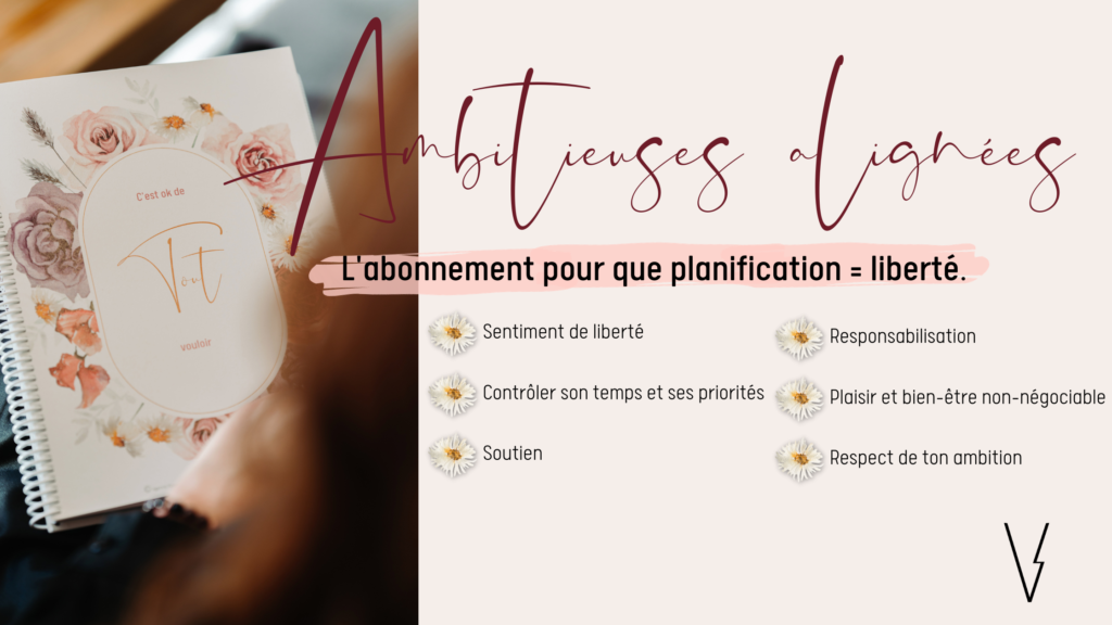 agencevpower.com